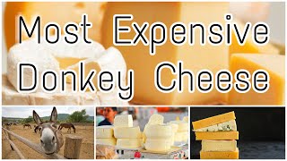 Most Expensive Cheese in the world - Donkey Cheese - Pule Cheese