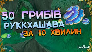 Гриби Руккхашава | Маршрут Збору | Матеріали Вознесіння | Genhsin Impact 3.0 Українською