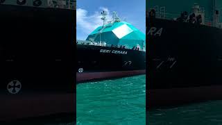 LNG 🚢 Tanker Ship #shipspotting #shorts #lng #lpg #tanker #ship #seaman #biggest #largest #fypシ