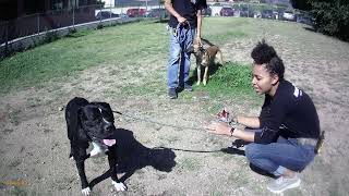 Maria with Dog Intros