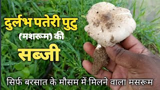 गाँव का स्वादिष्ट पुटु(मशरूम)की सब्जी | mashroom ki sabji | desi food