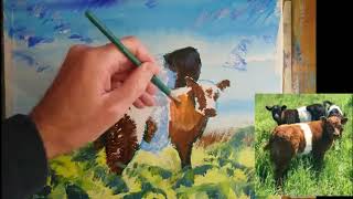 Belted Galloway Cattle Painting Part 7