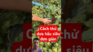 Cách thử dưa hấu chín quá đơn giản