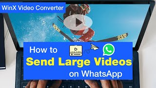 How to Send Large Videos on WhatsApp: 3 Hassle-free Methods [2023]