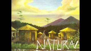 Natural Roots - Stop Them Jah