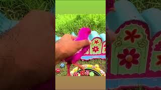 #funny #colorful_chickens  #anakayam #tangkapayam #tangkapayam #diy #ytshortsvideo #viralvideo2