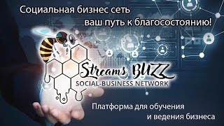 Вводный вебинар перед активацией тестового алгоритма Streams BUZZ