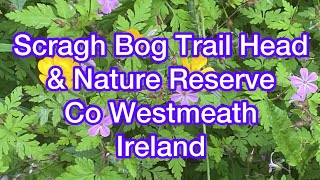 Scragh Bog Trail Head/ Nature  Reserve. Co Westmeath, Ireland.