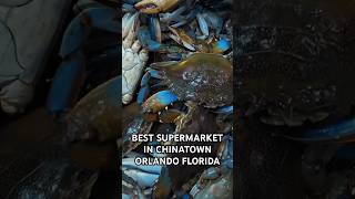 BEST SUPERMARKET IN CHINATOWN ORLANDO FLORIDA (FULL) VLOG @RichieRayRpl