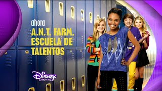 Disney Channel España: Ahora A.N.T. Farm, Escuela de Talentos (Nuevo logo 2014) 2