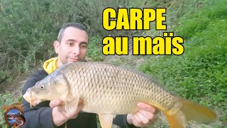 CARPES EN RIVIÈRE !!!