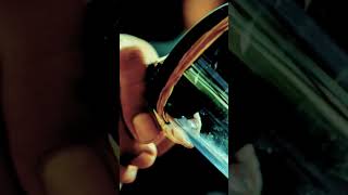 snake venom milking #shorts #shortvideo