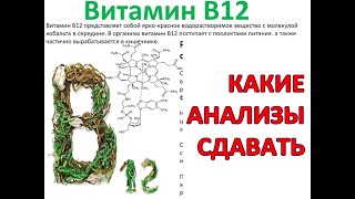 Точный АНАЛИЗ уровня ВИТАМИНА В12. Косвенные ПРИЗНАКИ дефицита В12. Гомоцистеин / Фролов Ю.А.