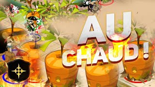 On les a mis AU CHAUD en PERCO ! DOFUS RETRO PVP