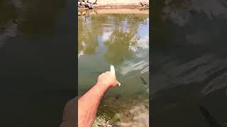 Clear water fishing !!!