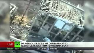 New Radioactive Leak Found At Fukushima Plant