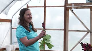 Conservation for the Future: Nurturing Neighbors at Living Root Farm, Big Horn County, MT