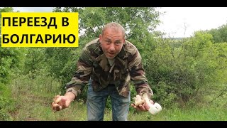 Переезд в Болгарию! Правильный выбор или нет?