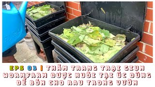 EPS 03 | THĂM TRANG TRẠI GIUN WORMFARM ĐƯỢC NUÔI TẠI ÚC DÙNG ĐỂ BÓN CHO RAU TRONG VƯỜN