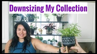 Plant Purging | Downsizing My Collection