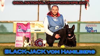 GSDL National Championship Ross Heron Black Jack vom Hamilberg B Obedience 2017