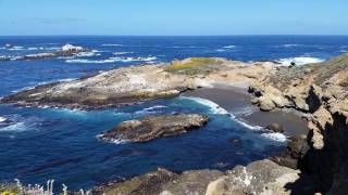 Road Trip USA 2016 : 03 SANTACRUZ CARMEL POINTLOBOS