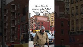 "Strolling Bliss: Exploring Manhattan's Urban Wonderland on Foot" #nyc #shorts #walking