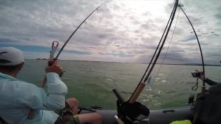 Ebro Delta fishing September 2016