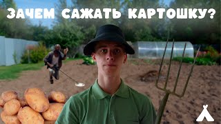 ЗАЧЕМ САЖАТЬ КАРТОШКУ?