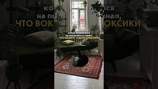 Перешли это видео своей подруге, пусть тоже проверит своё окружение по чек-листу 🫰🏻🧘🏻‍♀️#друзья