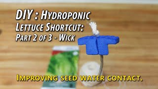 DIY: Hydroponic Lettuce Shortcut — Part 2 / 3: Improve Seed Water Contact In Foam Mat Grow Medium.