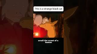 This is a strange black cat  #anime