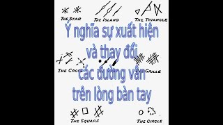 Sự xuất hiện và thay đổi các đường vân trên lòng bàn tay nói lên điều gì?