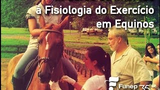 III Curso de Imersão à Fisiologia do Exercício em Equinos