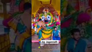 Jay Jagannath #jagannath #status #rathayatra