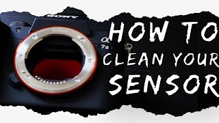 How to CLEAN 🧹  your CAMERA 🎥  SENSOR?!!