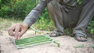 Build Unique DIY Chicken Trap Using Bamboo Wood / How To Build Wild Chicken Trap Work 100%