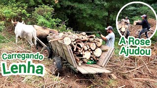 CARREGANDO LENHA NA LADEIRA/LUGAR DIFÍCIL/A CARROÇA IA DE LADO