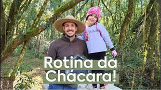 ROTINA DA CHÁCARA | COMEÇOU A MUDANÇA