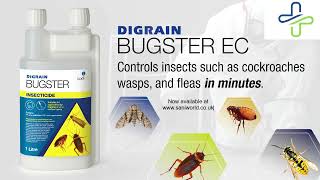 Combatting the Rise of Insect Pests in the UK with ULV Fogging and Digrain Bugster EC