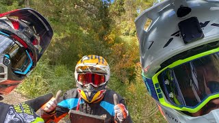 Riding with expert Dakar riders Jordi Viladoms and Skyler Howes.