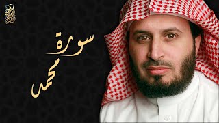 الشيخ سعد الغامدي - سورة محمد  | Sheikh Saad Al Ghamdi - Surat Muhammad