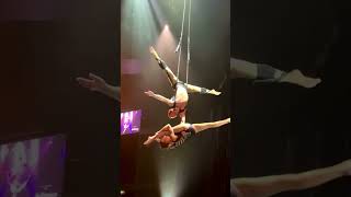 Amazing acrobatics !😮 #acrobatics #amazing