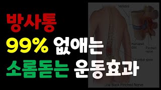 이것만 알아도 허리디스크에 의한 방사통 99% 줄일 수 있습니다.