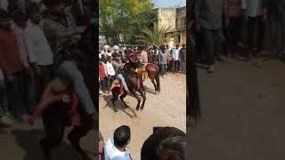 kathiyawadi fuleku and kathiyawadi horse 72 #shorts #viral #subscribe #horse #horseriding #trending