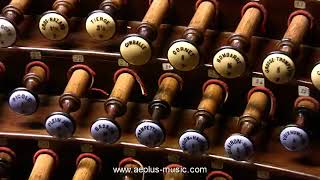 Widor   Mattheus Final from Bach s Memento  played by Peter Van de Velde  Antwerp Cathedral