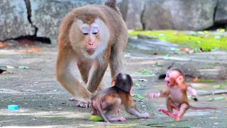 Very poor ! Baby tiny SABA crying angry mom - when mom tries to pushing his baby out of milk so pity