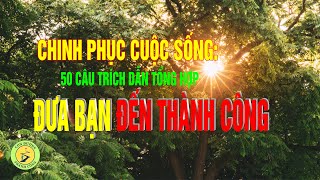 Chinh Phục Cuộc Sống: 50 Câu Trích Dẫn Tổng Hợp Cho Sự Thành Công Và Hạnh Phúc