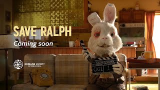 Unutulan Deney Tavşanı Ralph 🐇