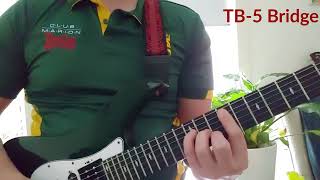 Seymour Duncan Pickup test - Seymour Duncan TB-5 Custom Yamaha YG-1212 Split and humbucking sounds